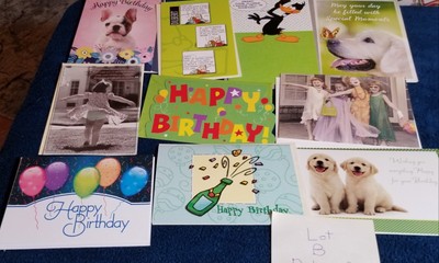 Lot B -10 Assorted DELUXE BIRTHDAY  Greeting  Cards with Whimsical Themes
