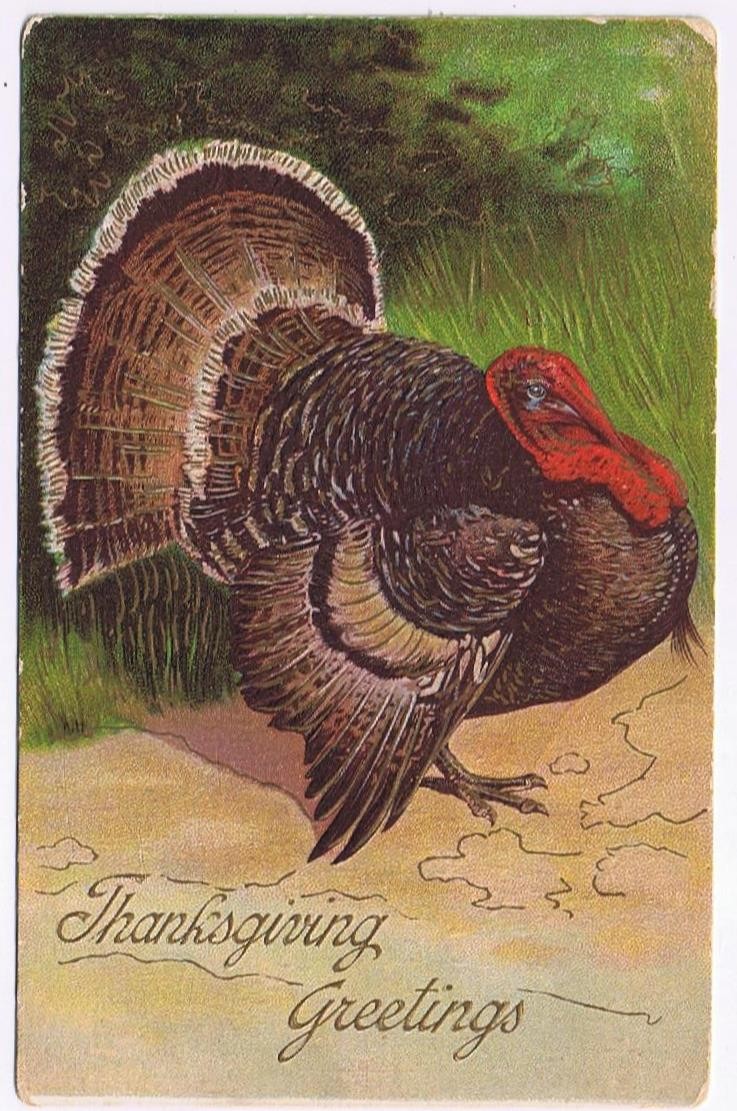 Holiday Postcard Embossed Thanksgiving Turkey Greetings