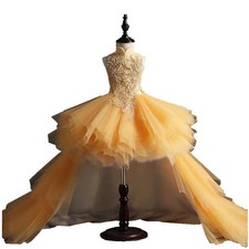 Glizt Long Trailing Gold Lace Dress Bead Tulle Ball Gown Girl Pageant Girl Dress
