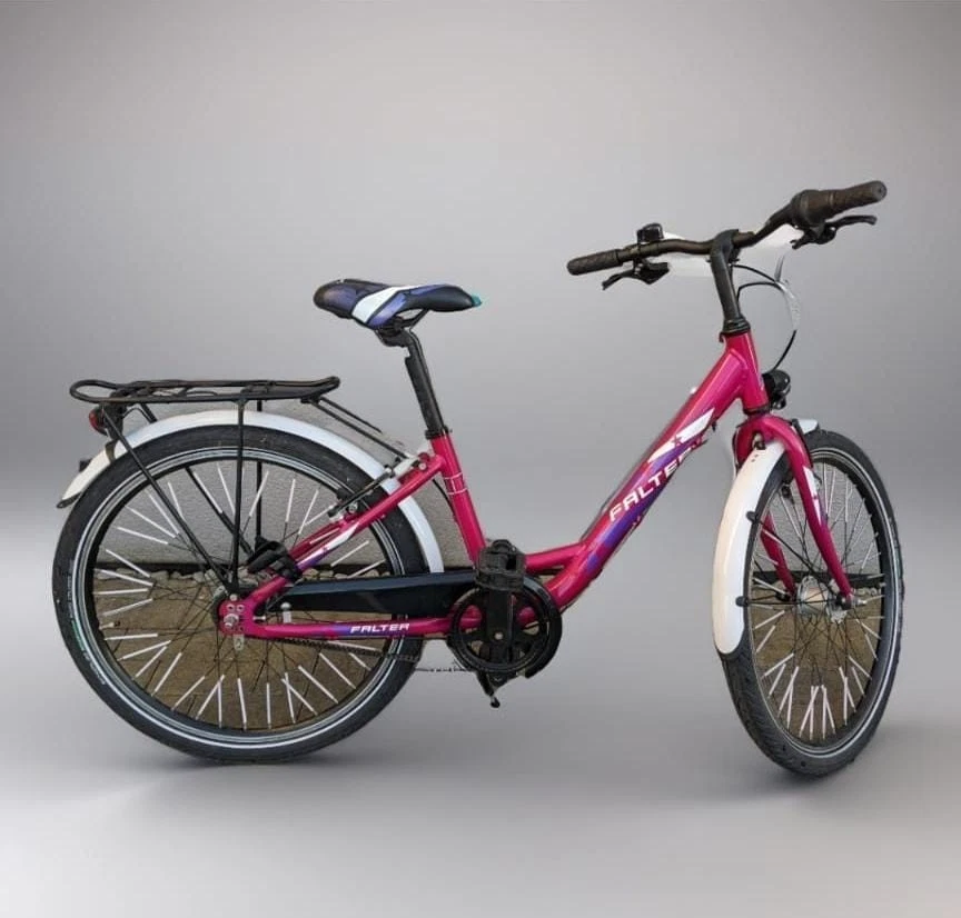 elektrofahrrad prophete Prophete Ebike LCD Display main image 1