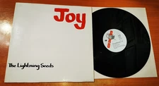 THE LIGHTNING SEEDS Joy 12" SPAIN MAXI SINGLE VINYL VERY RARE 1989 OUT OF PRINT