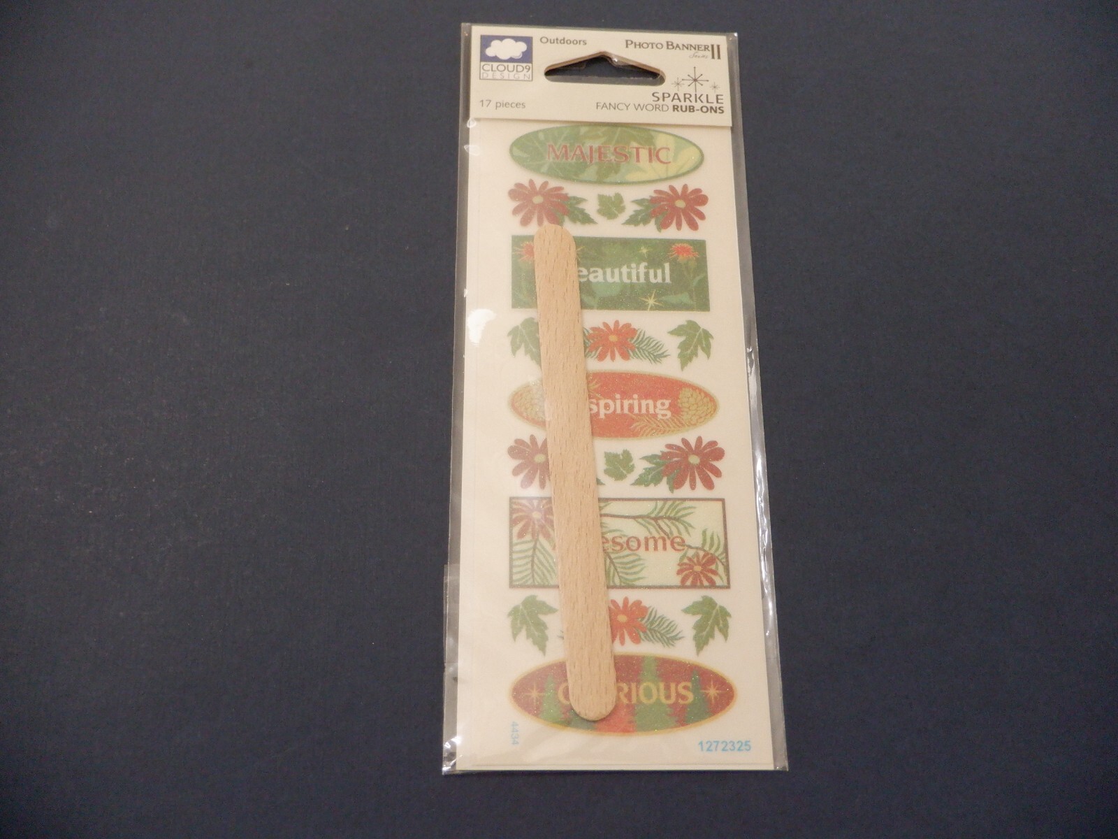 Outdoors Sparkle Fancy Word Rub-Ons Cloud 9 Design Crafts Scrapbooking  GM5536 | eBay