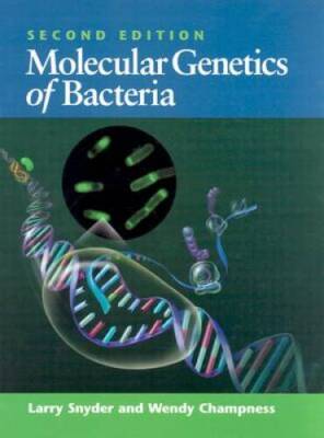 Molecular Genetics of Bacteria - Hardcover By Snyder, Larry - GOOD