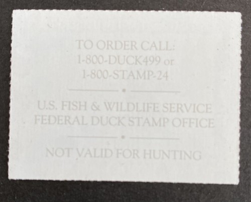 US #JDS14 2006-2007 $5 REDHEAD JUNIOR DUCK STAMP MNH - Picture 2 of 2