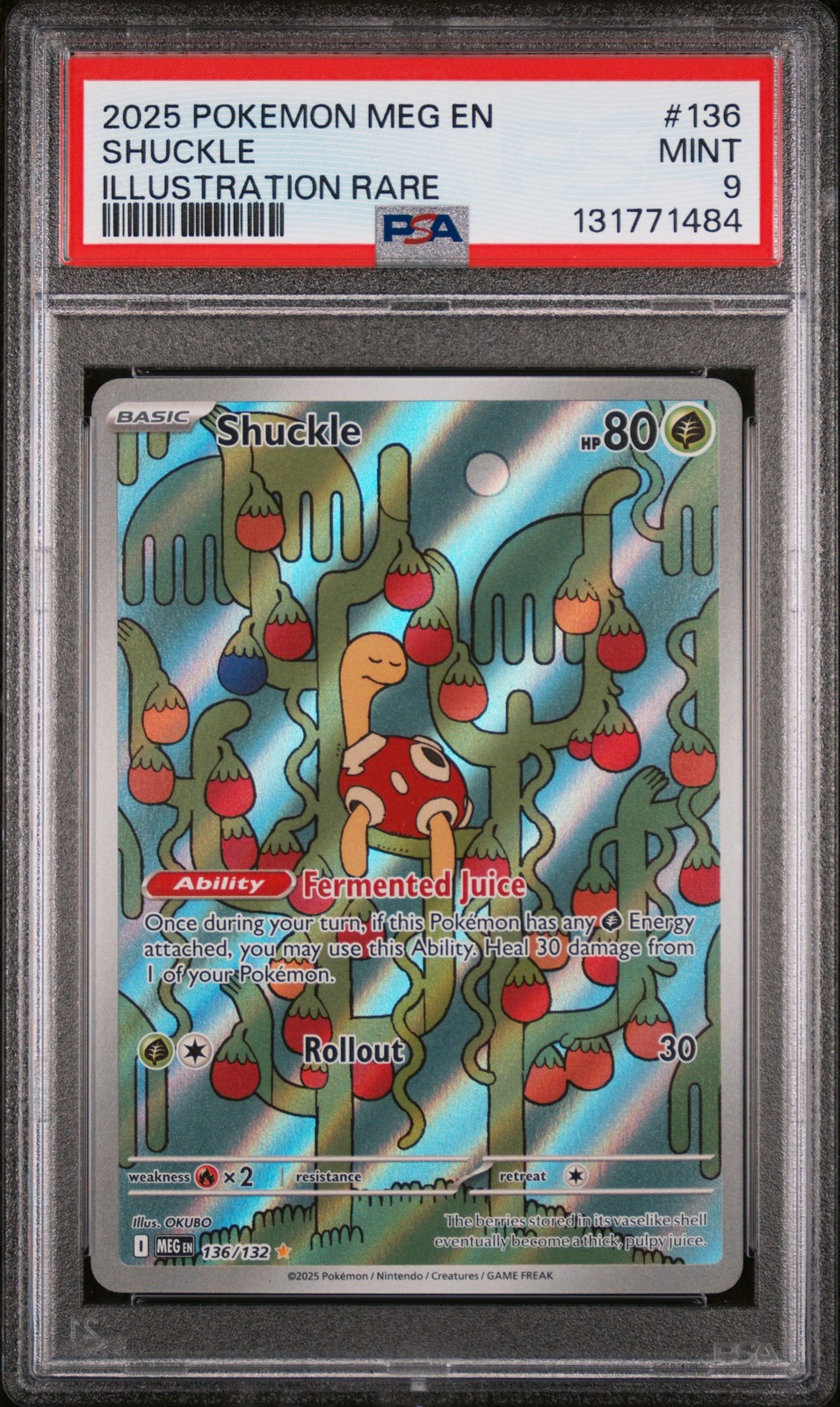 Shuckle #136
