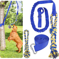 Tug of War Dog Toy, Interactive Dogs Toy Bungee Hanging Tether with 2 Chew Rope