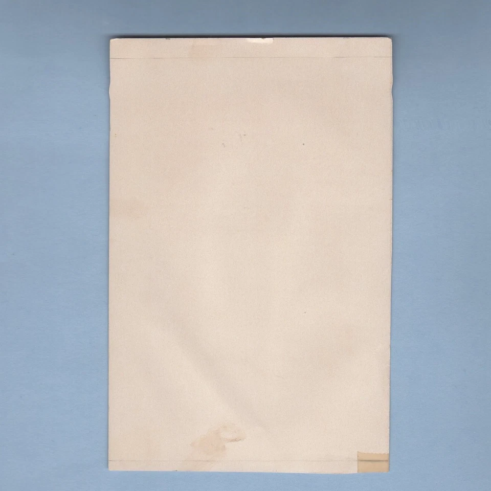 Impresión espía reina soldado Harrison Fisher de Beverly of Graustark 1904 de colección Foto 2 de 2