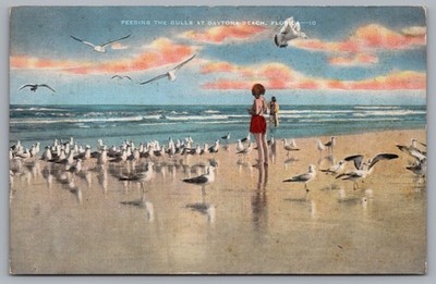 Girl Feeding the Gulls at Daytona Beach, FL. Vintage Linen Postcard