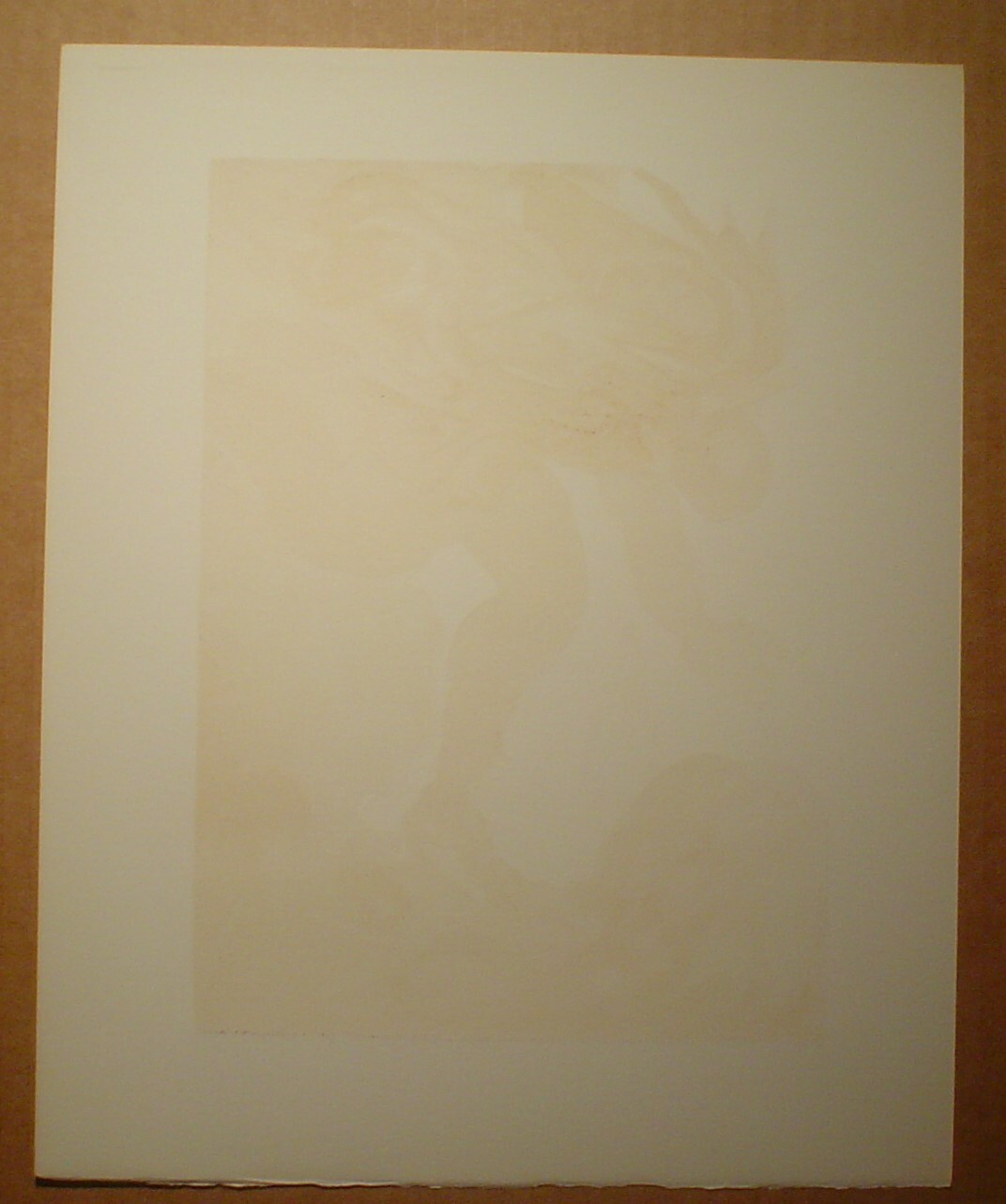 Picture 2 of 2