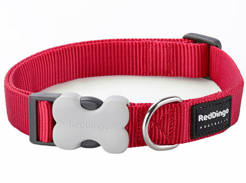 Red Dingo Classic Plain Nylon Dog / Puppy Collar / Lead in RED XS - LG - Afbeelding 7 van 8