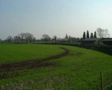 Photo 6x4 Antrobus fields Near Brow Lane c2005