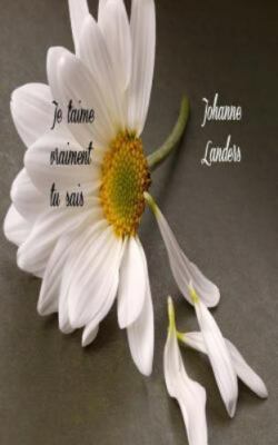 Je T'Aime Vraiment Tu Sais by Landers, Johanne, Brand New, Free shipping in t...