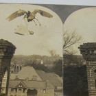 Keystone View Company Stereo 11466 Stork bringing a Baby in the Olden Times — photo 3