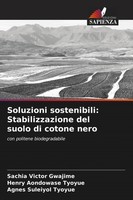 Sachia Victor Gwajime (U. A.) | Soluzioni Sostenibili: Stabilizzazione Del...