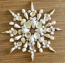 80 PIECE MEDLEY OF SMALL TO MEDIUM WHITE SEA SHELLS - 2-1/4" UNDER