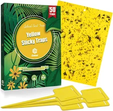 50-Pack Dual-Sided Yellow Sticky Traps for Flying Plant Insect Fungus Gnats Whit