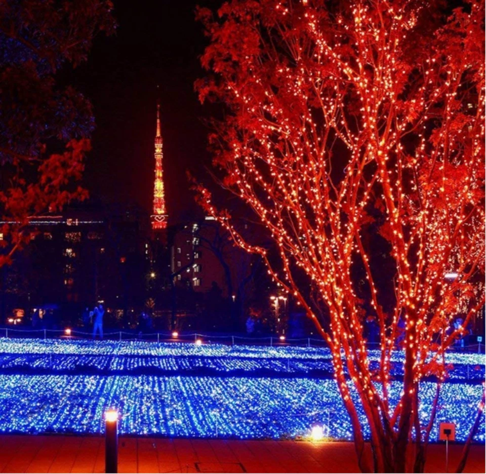 200 LED 20.9M RED SOLAR CHRISTMAS WEDDING PARTY FAIRY STRING LIGHTS - image 3 of 4