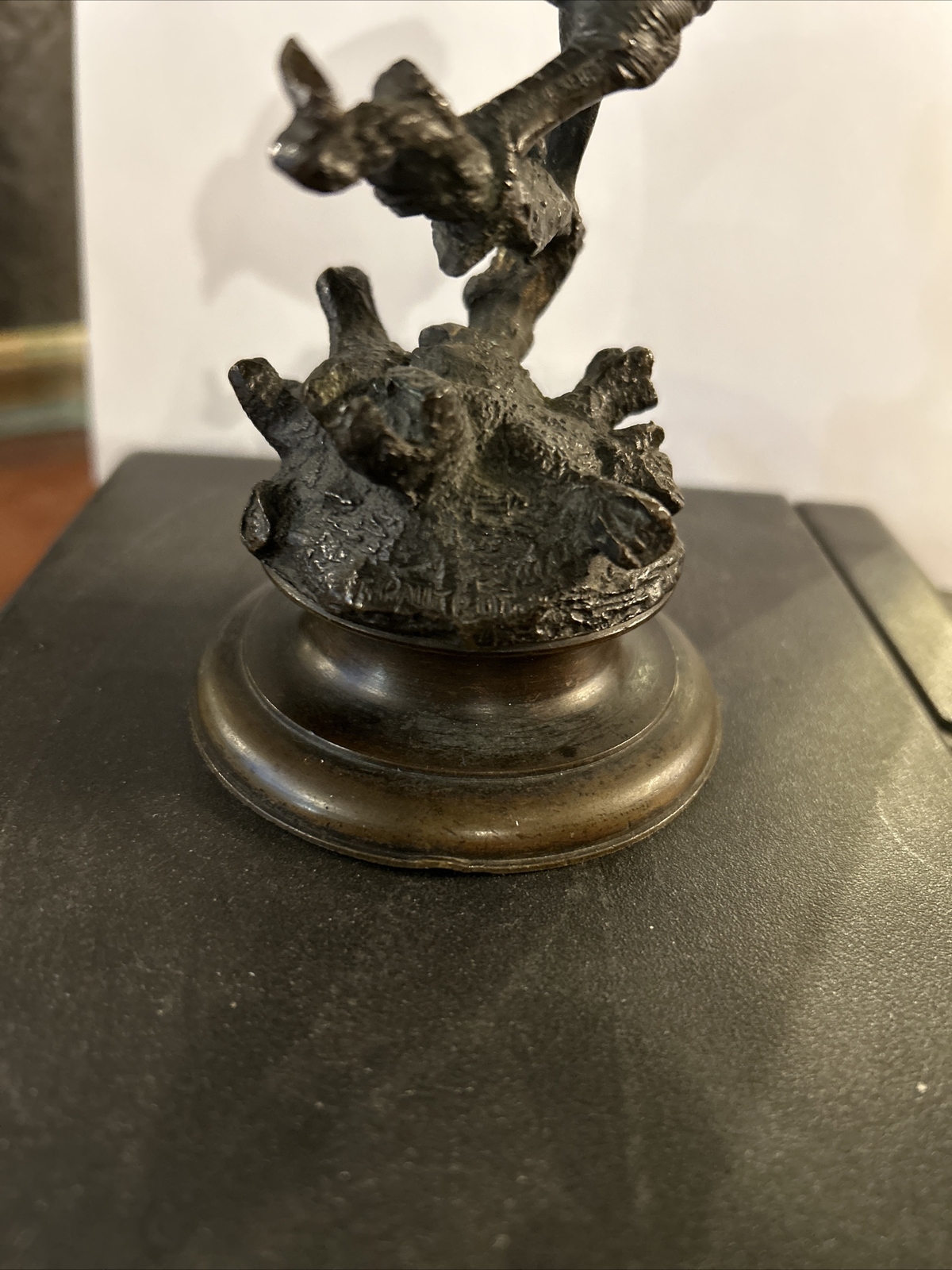 Picture 6 of 11
