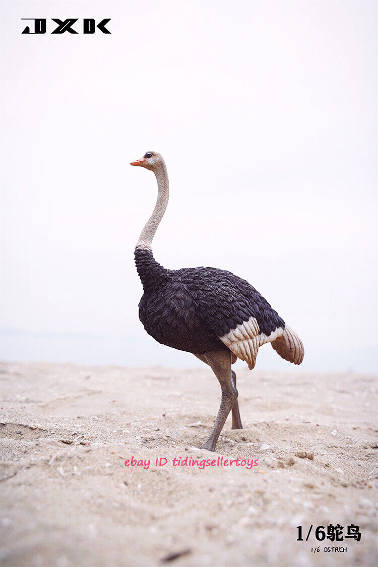 JXK 1/6 Resin Ostrich Animal Statue Fit 12 JXK 1/6 Resin Ostrich Animal Statue Fit 12
