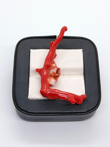 Italian Red Coral Branch Stick-Unique Red Coral Branch Genuine Italian Branch - Picture 2 of 6