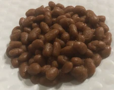 Life Form By Nasco Replica Food Nutrition Training Beans Stage Photo Prop