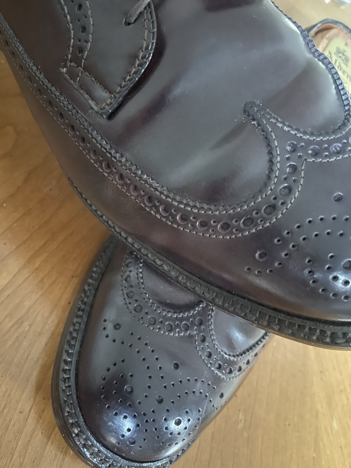 Alden 975 Color 8 Shell Cordovan Long Wing Blucher