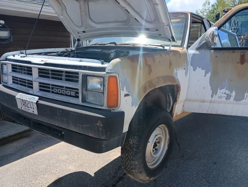 Rear Drive Shaft 4WD 124" Wb Fits 89-91 DAKOTA 445435 Foto 4 de 4