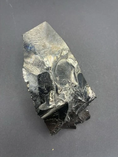 Elite Shungite 113.29g Genuine Noble Crystal Rare Healing Mineral Russia