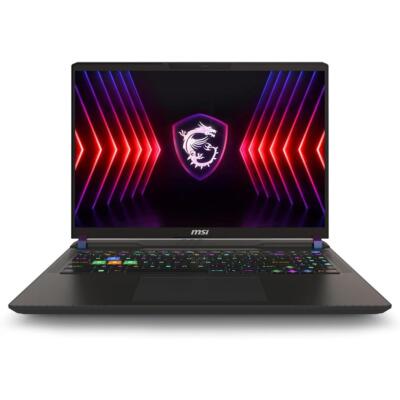 Vector 16 HX A14VGG-254US 16'' QHD+ 240Hz Gaming Laptop - Cosmo Gray SKU#1774205