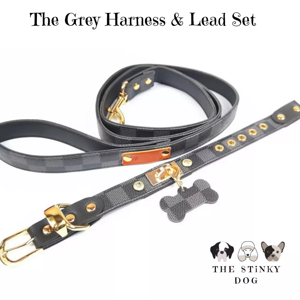 Doggy Designer Dog Collar And Lead