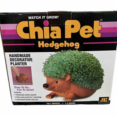 Chia Pet Hedgehog Handmade Decorative  Planter with Seed Pack