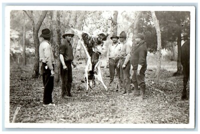 c1910's Hunting Party Hanging Deer Splayed RPPC Photo Posted Antique Postcard