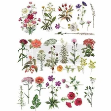 Floral Collection | Decor Transfer | Redesign with Prima | Rub On Transfer