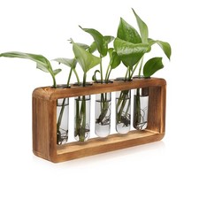 Glass Plant Propagation Station with 5 Test Tubes Colorful Planter Vase Birth...