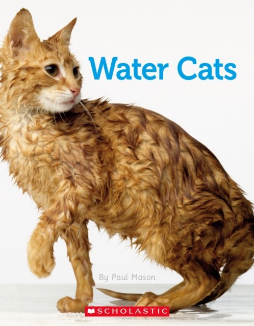 Connectors Silver: Water Cats (6 Copies) - Image 2