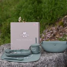 LUCK HEAVEN Silicone Baby Bib Feeding Set Led Weaning Supplies with Bowl Spoons