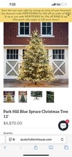 Park Hill Blue Spruce Christmas Tree 12 foot