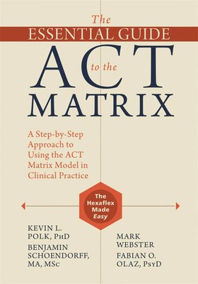 The Essential Guide to the ACT Matrix | Kevin L Polk (u. a.) | Englisch | Buch