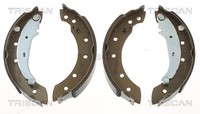 Triscan Bremsbackensatz Hinterachse U.A. FüR CitroËN, Dacia, Peugeot, Renault