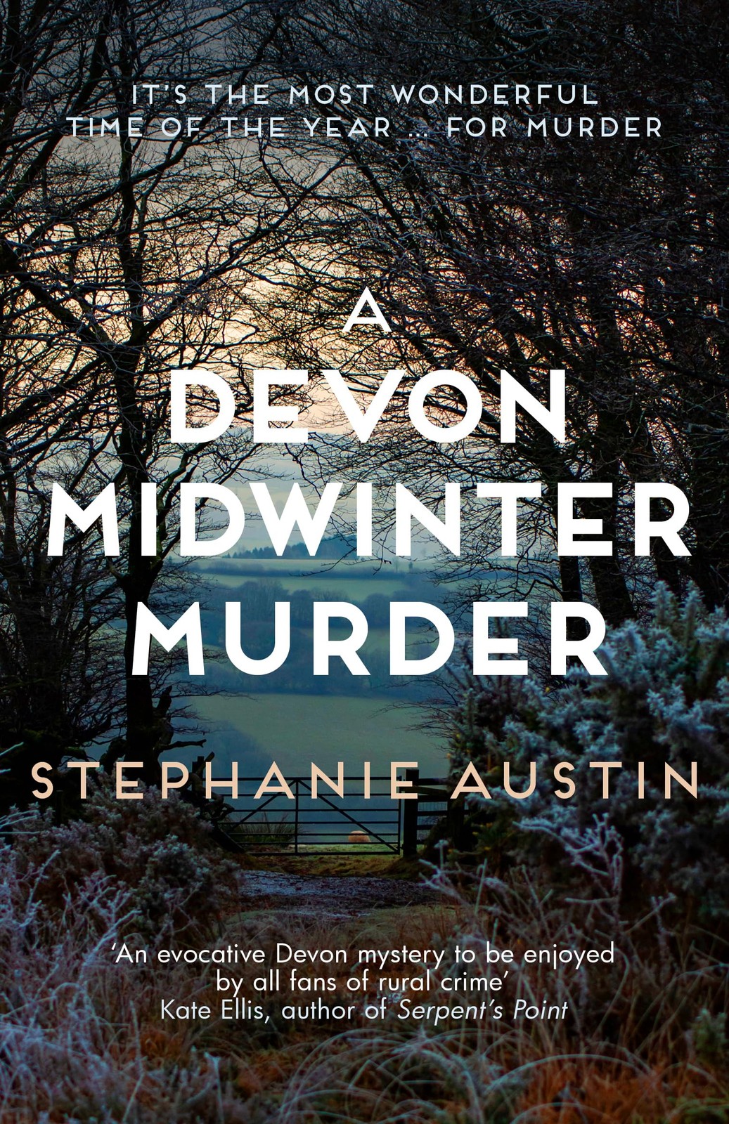 A Devon Midwinter Murder: The must-read cosy crime series (Dev .