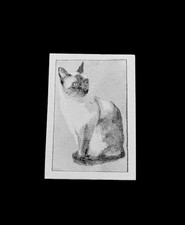 Original ACEO Cat Drawing Siamese OOAK Miniature Art Signed Graphite 2.5x3.5