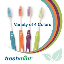 Freshmint Individually 100 PACK Wrapped Premium Toothbrush with Oversized Easy