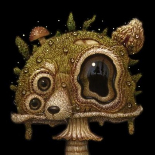 Extrawelt Automatik Akrobatik EP (Vinyl LP) 12" EP