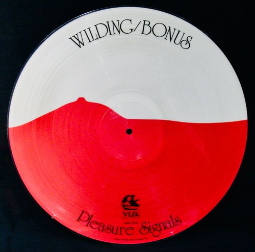 WILDING/BONUS: PLEASURE SIGNALS~1978 VISA PICTURE DISC LP~JAZZ-ROCK~BONAS - Picture 3 of 4