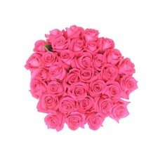 Fresh Roses 50 roses delivered to your door  - Pink Floyd Fresh Cut Flowers