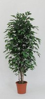 Artplants Kunst Ficus Benjamini Konrade, Echte StäMme, GrüN, 300Cm