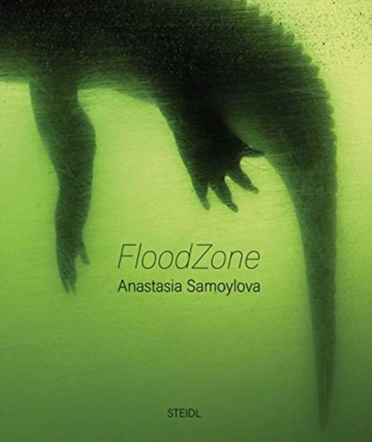 Anastasia Samoylova: FloodZone by Anastasia Samoylova (Hardback Book)