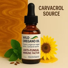 Oil Oregano Candidiasis Nail Fungus Wild Oregano Charvacol Immune Support