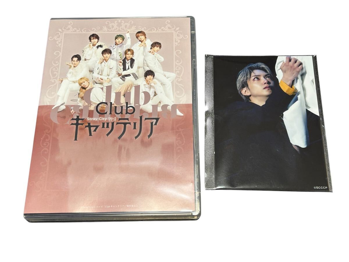 Clubキャッテリア　Blu-ray　未開封 Clubキャッテリア Blu-ray 未開封 キャッテリア DVD/ブルーレイ