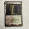 Overgrown Tomb : MTG / Return to Ravnica #243 / NM B